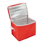 Cooler Mini - Imagen 10