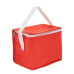 Cooler Mini - Imagen 9