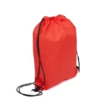 Mochila Friz - Imagen 2