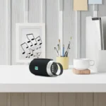 Parlante Polifonic - Imagen 10