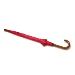 Paraguas TAHG 134 Automático - Imagen 2