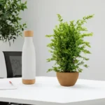 Botella Pasadena - Imagen 7